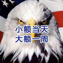 九龙要账公司